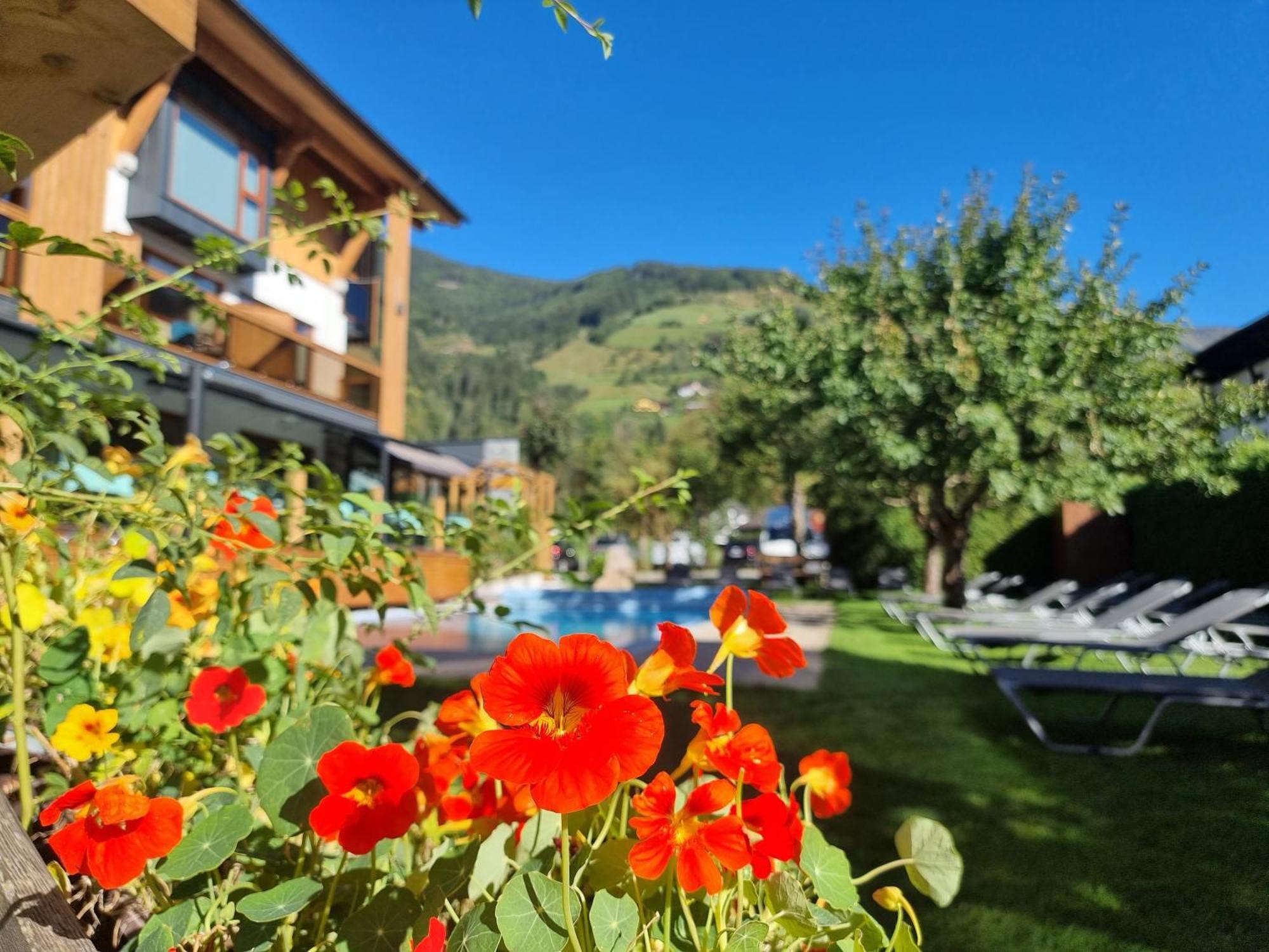 ראוריס Hotel Alpina מראה חיצוני תמונה